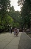 File13065_thumb.jpg