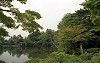 File13470_thumb.jpg