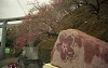 File8845_thumb.jpg