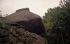 File8854_thumb.jpg