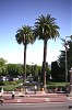 IMG0007_thumb.jpg