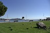 IMG0012_thumb.jpg