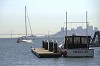 IMG0014_thumb.jpg