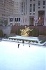 IMG0078_thumb.jpg