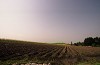 File1103_thumb.jpg