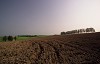 File1122_thumb.jpg