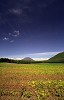 File1174_thumb.jpg