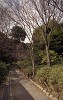 File6144_thumb.jpg