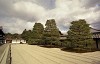 File6171_thumb.jpg