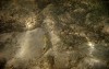 File4168s_thumb.jpg