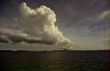 File2895_thumb.jpg