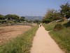DSCN0847_thumb.jpg