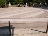 DSCN0868_thumb.jpg