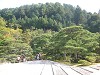DSCN0869_thumb.jpg