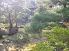 DSCN0870_thumb.jpg
