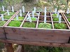 DSCN0873_thumb.jpg