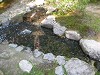 DSCN0875_thumb.jpg
