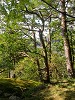 DSCN0880_thumb.jpg