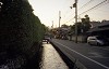 File3071_thumb.jpg