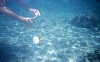 File0141_thumb.jpg