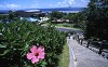 DSCN3462_thumb.jpg