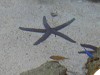 DSCN3465_thumb.jpg