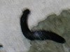 DSCN3466_thumb.jpg