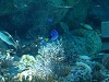 DSCN3472_thumb.jpg