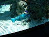 DSCN3474_thumb.jpg