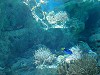 DSCN3476_thumb.jpg