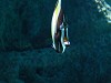 DSCN3477_thumb.jpg
