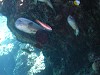 DSCN3478_thumb.jpg