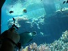 DSCN3479_thumb.jpg