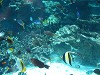 DSCN3489_thumb.jpg