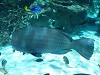 DSCN3490_thumb.jpg