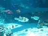 DSCN3491_thumb.jpg