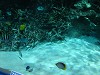 DSCN3492_thumb.jpg