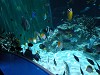 DSCN3493_thumb.jpg