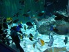 DSCN3494_thumb.jpg