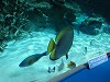 DSCN3495_thumb.jpg