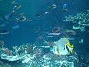 DSCN3496_thumb.jpg