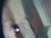 DSCN3497_thumb.jpg