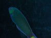 DSCN3498_thumb.jpg