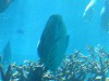 DSCN3500_thumb.jpg