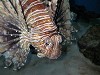 DSCN3508_thumb.jpg