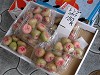 DSCN3549_thumb.jpg