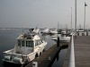DSCN4104_thumb.jpg