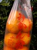 DSCN4117_thumb.jpg