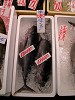 DSCN4176_thumb.jpg