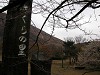 DSCN4910_thumb.jpg